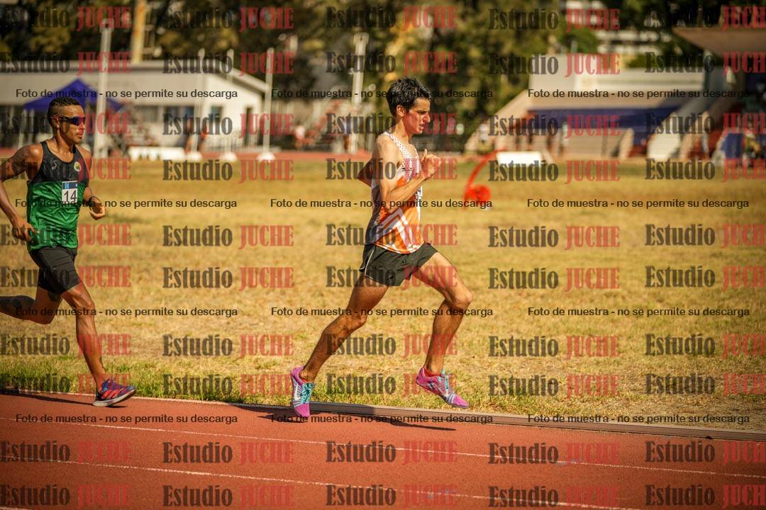 Fotos de los 3000 m llanos de varones