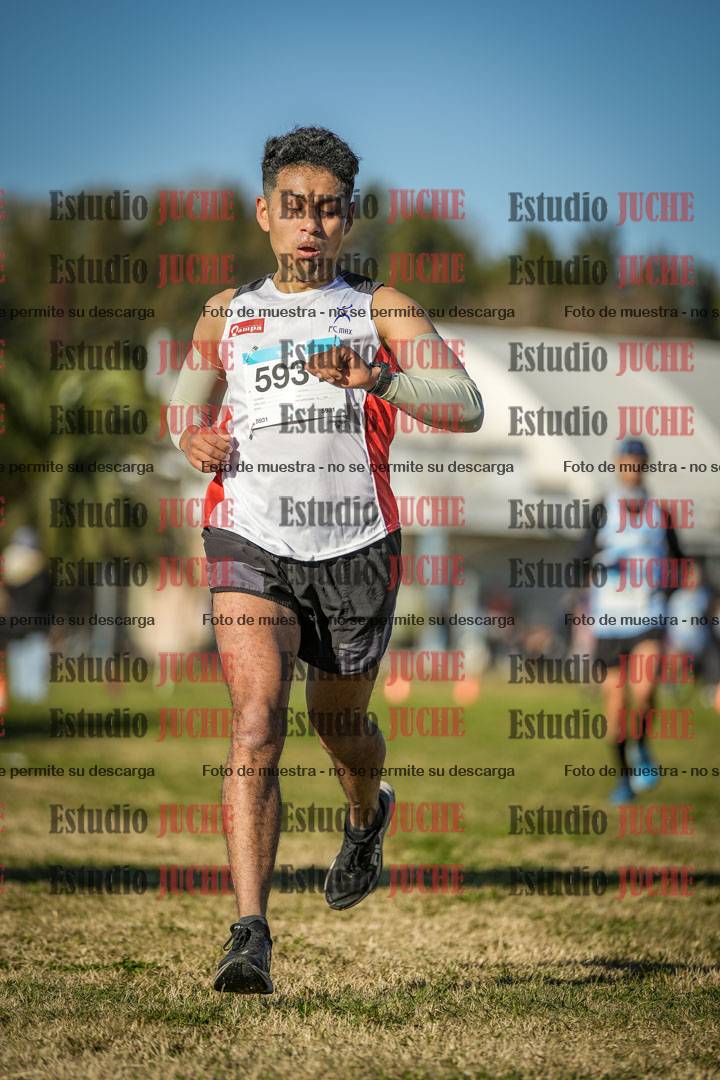 Fotos de las llegadas