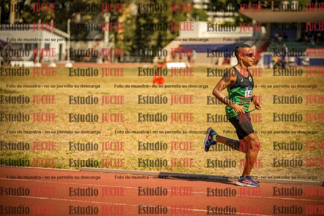 Fotos de los 3000 m llanos de varones