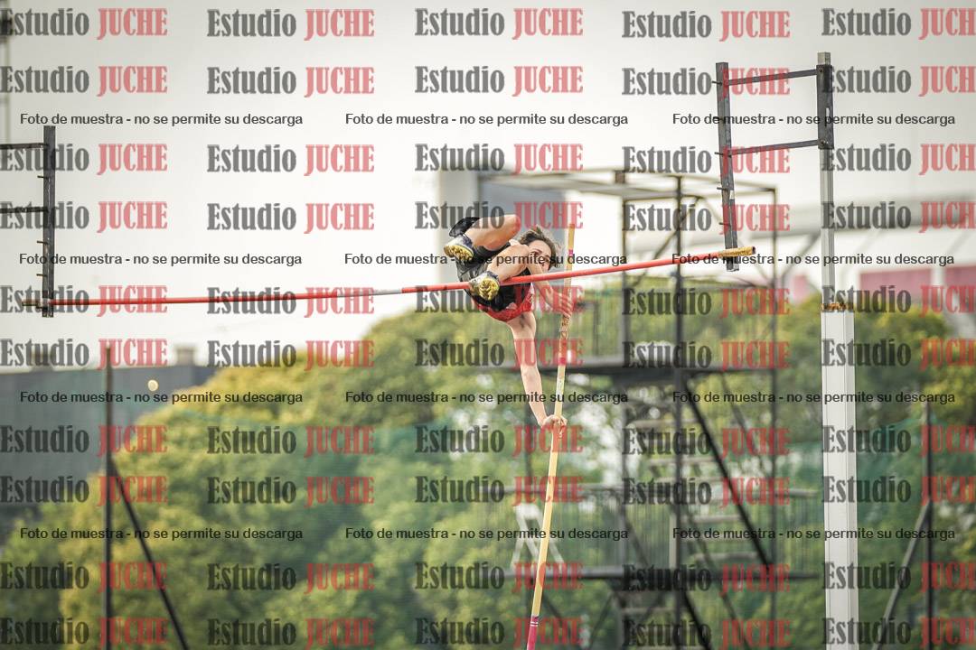 Fotos del salto con garrocha de varones