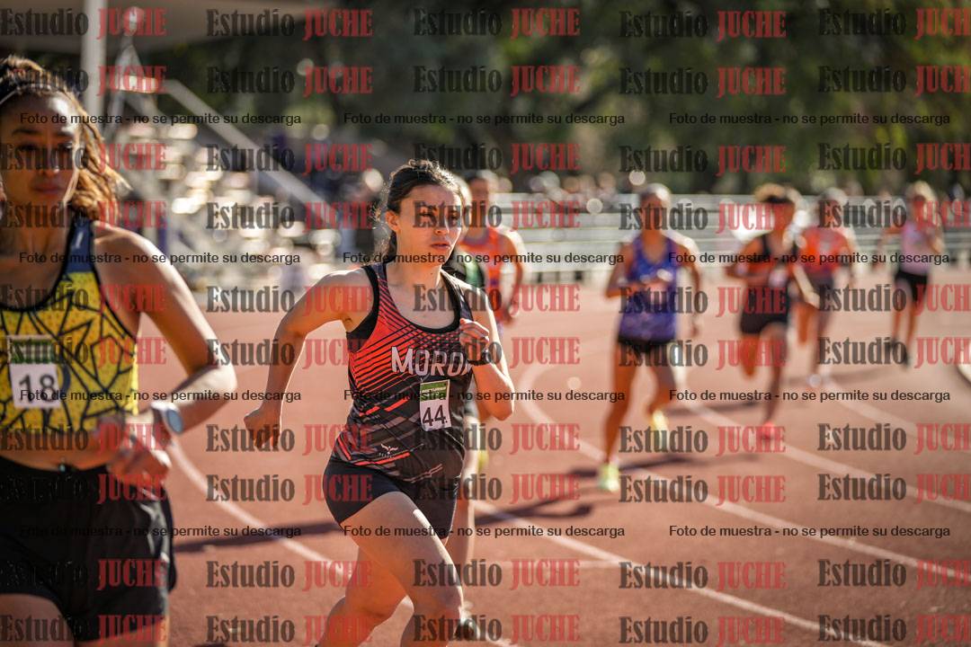 Fotos de los 800 m llanos de mujeres