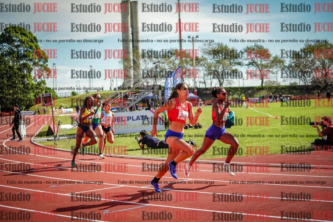Fotos de los 800 m llanos de mujeres - FINAL