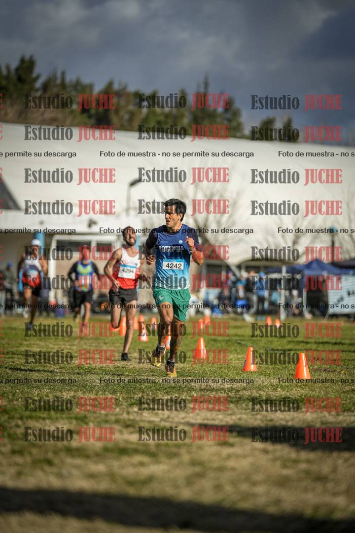 Fotos de las llegadas