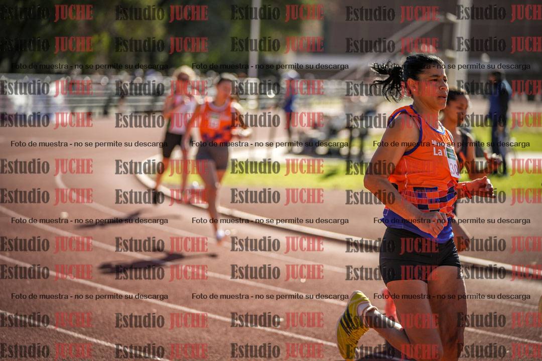 Fotos de los 800 m llanos de mujeres
