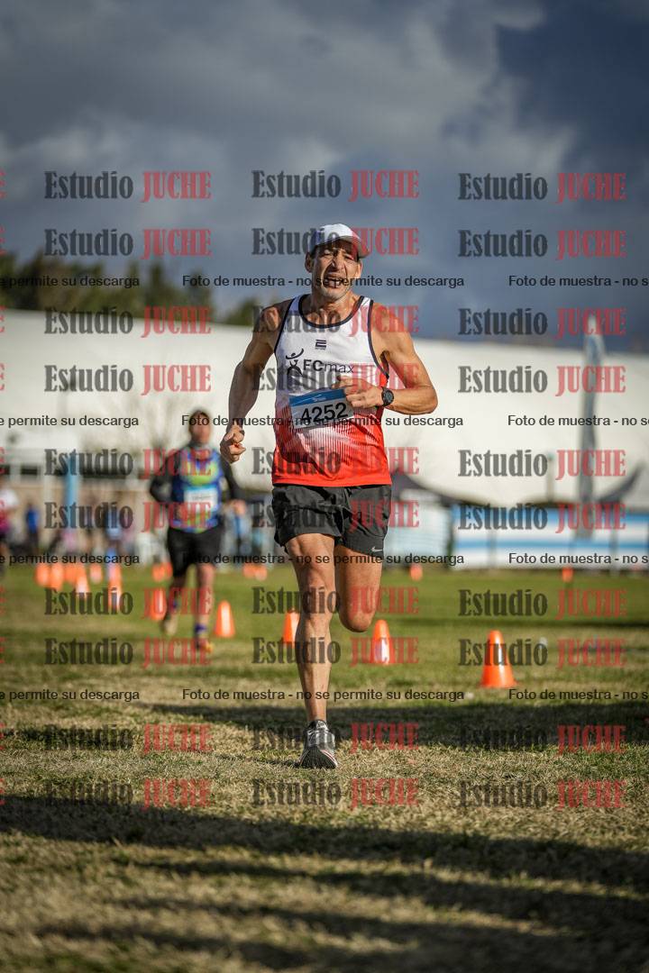 Fotos de las llegadas