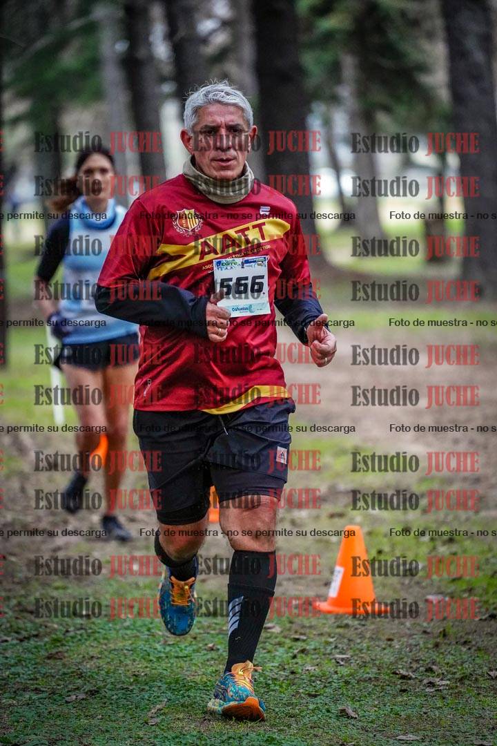 Fotos en el circuito