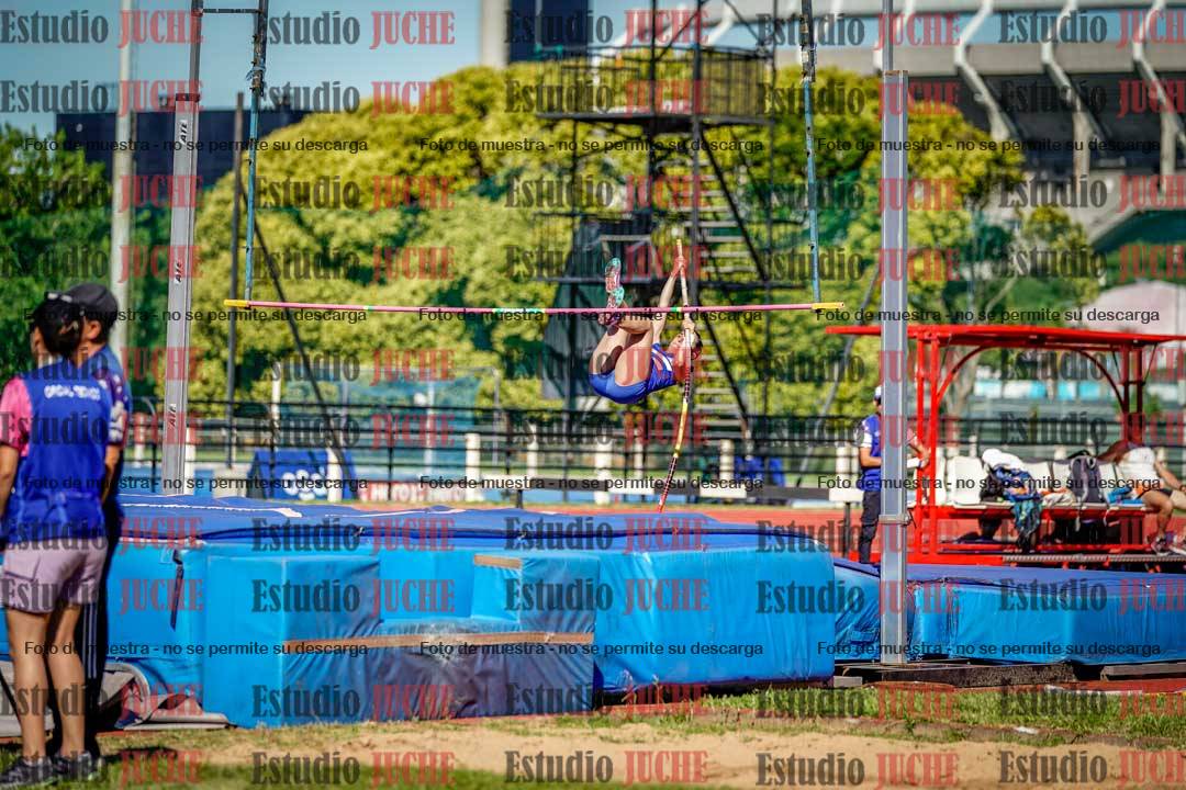 Fotos del salto con garrocha de mujeres y varones