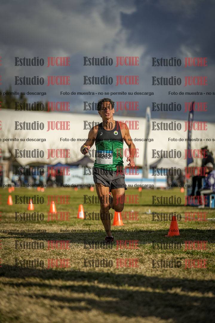 Fotos de las llegadas