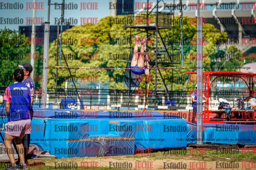 Fotos del salto con garrocha de mujeres y varones