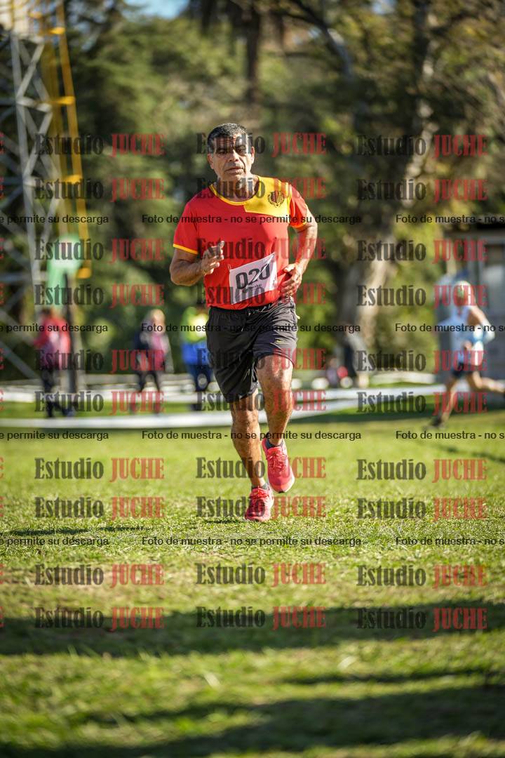 Fotos de la llegada del cross de 4000 m - varones