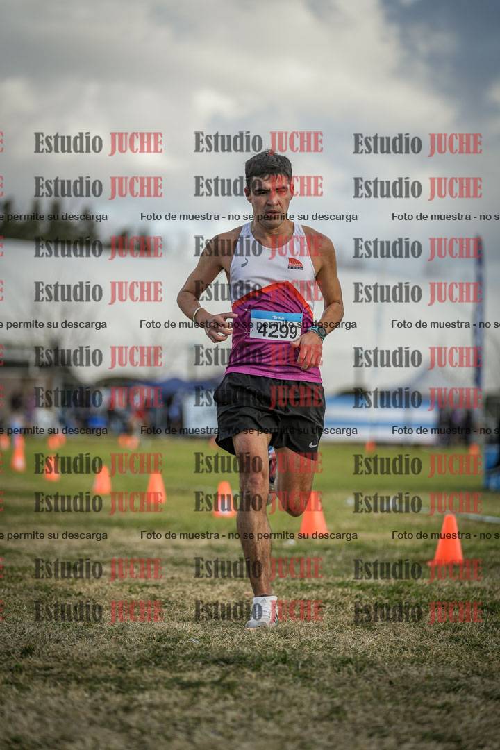 Fotos de las llegadas