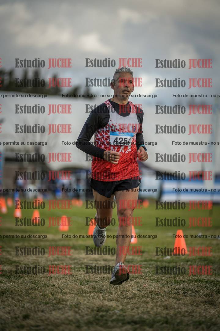 Fotos de las llegadas
