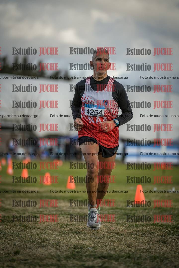 Fotos de las llegadas