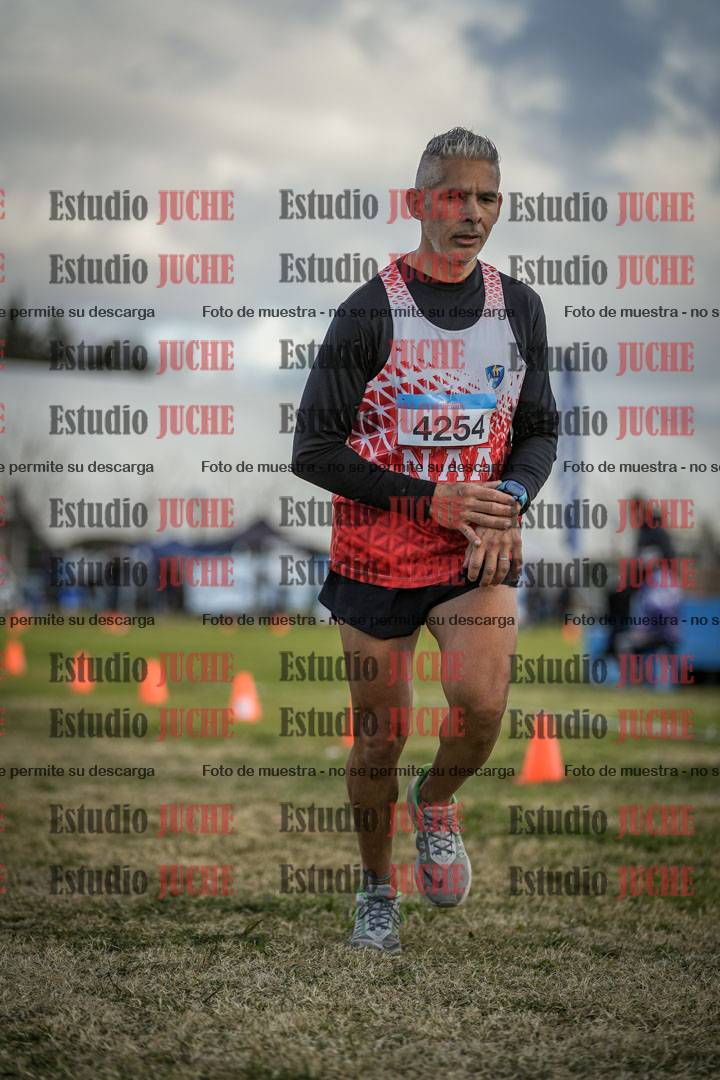 Fotos de las llegadas