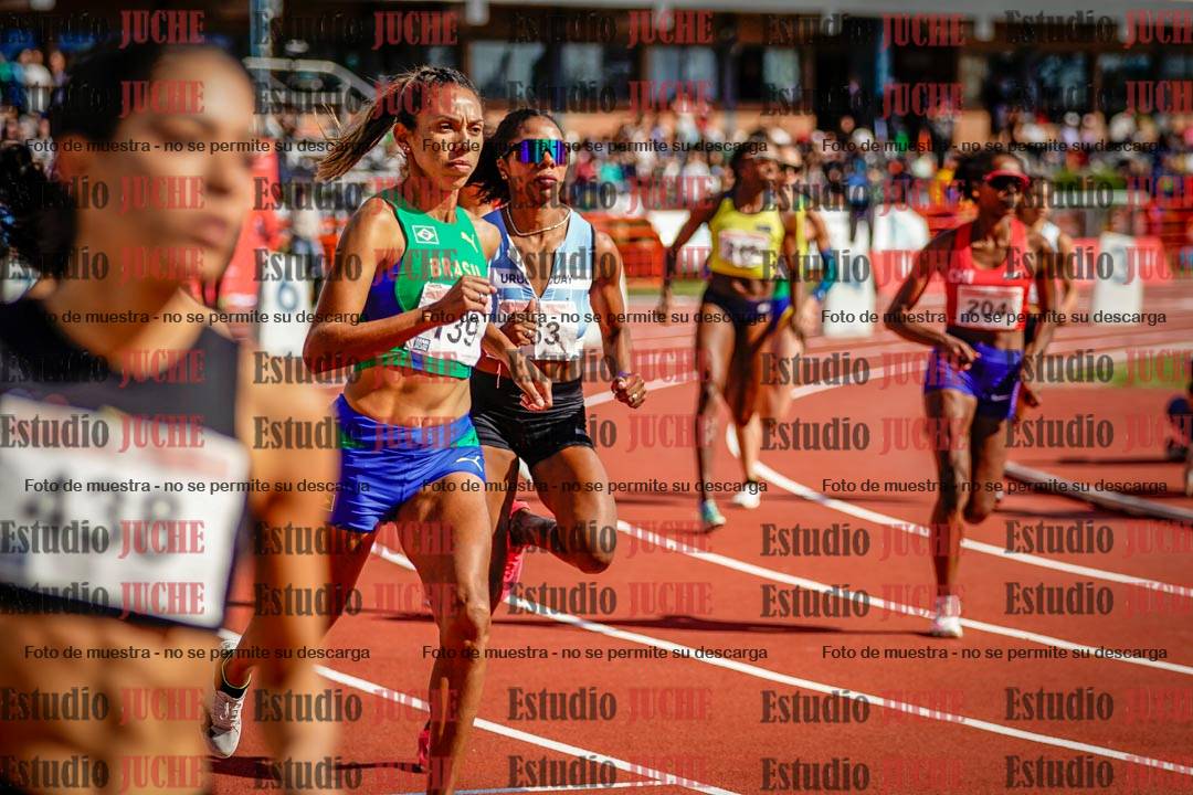 Fotos de los 800 m llanos de mujeres - FINAL