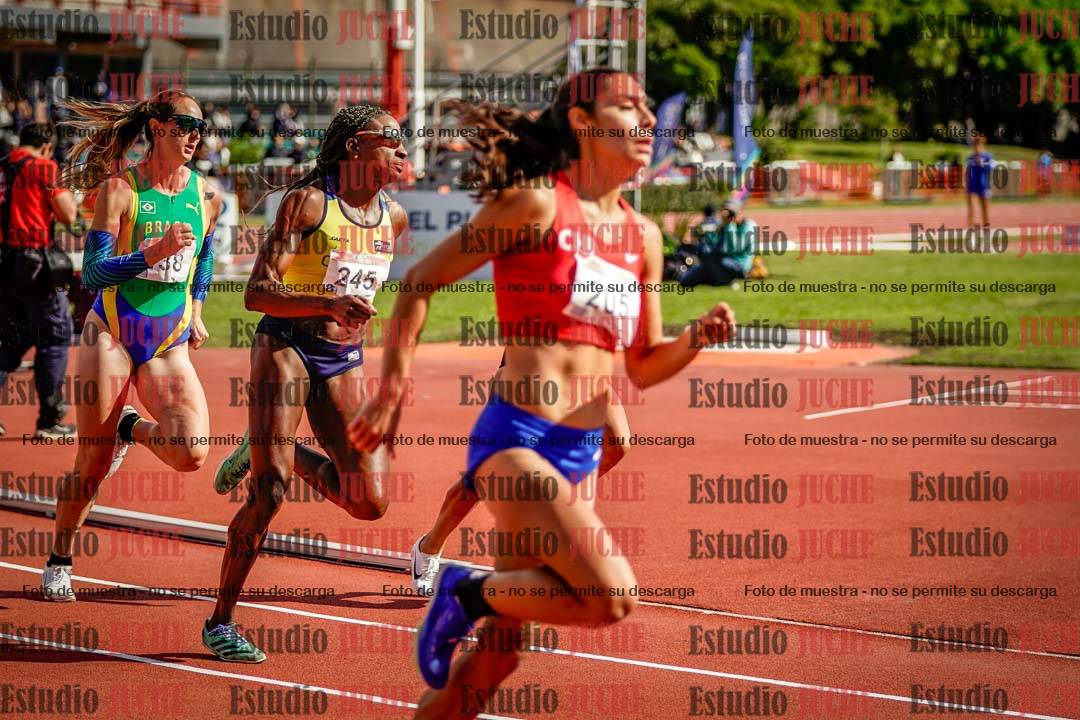 Fotos de los 800 m llanos de mujeres - FINAL