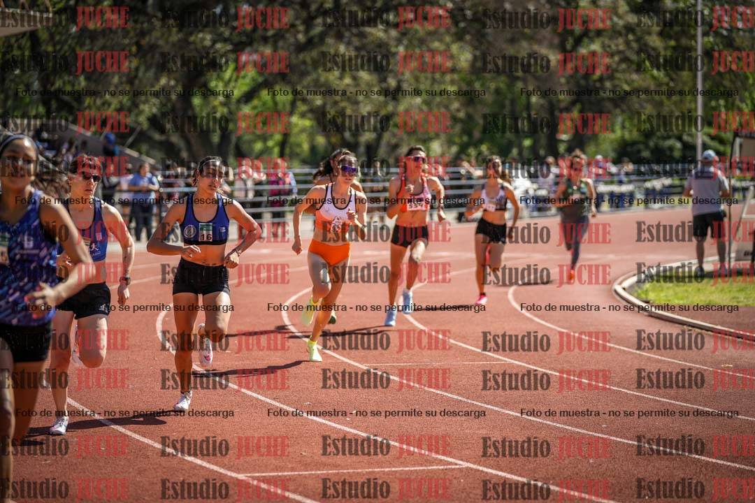 Fotos de los 800 m llanos de mujeres