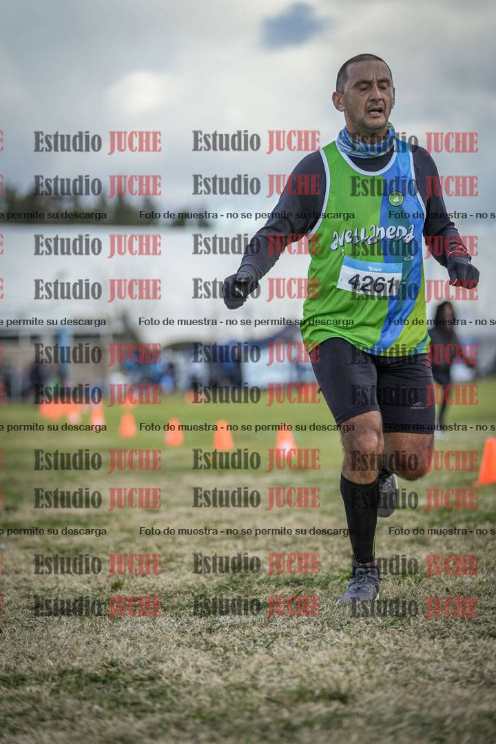 Fotos de las llegadas