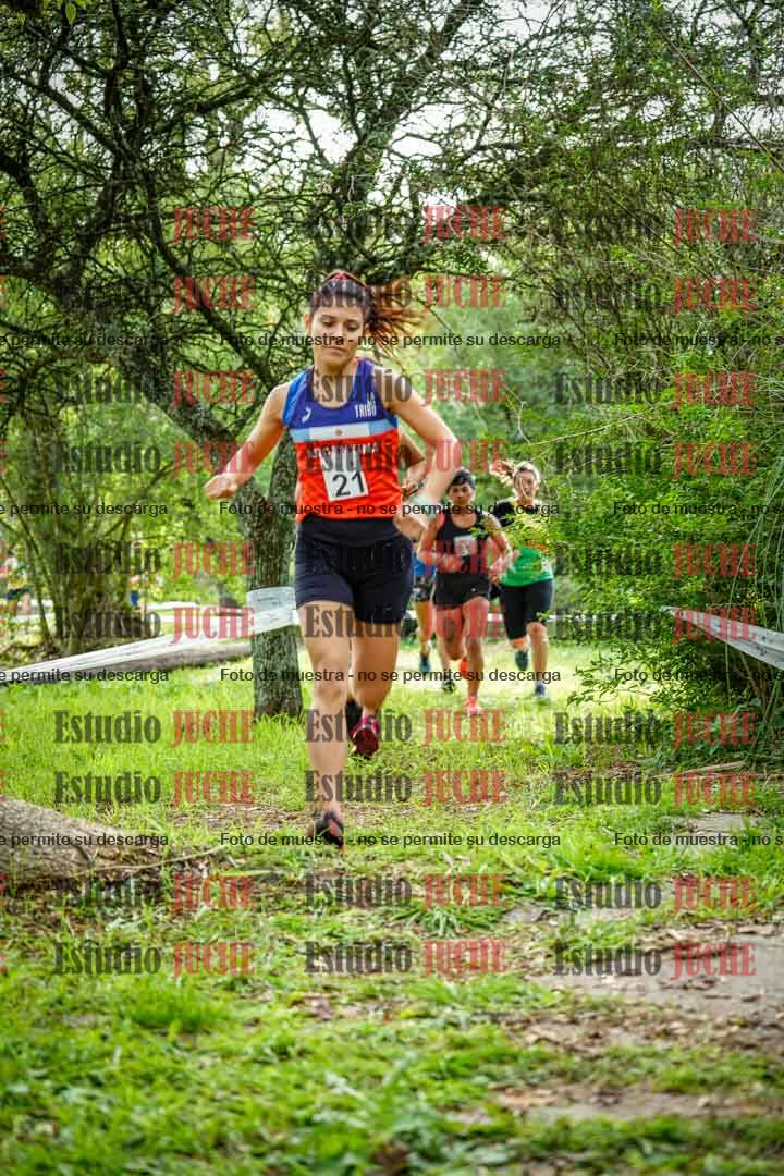 Fotos en el circuito