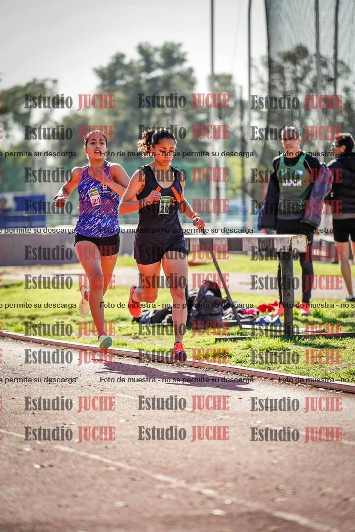 Fotos de los 800 m llanos de mujeres