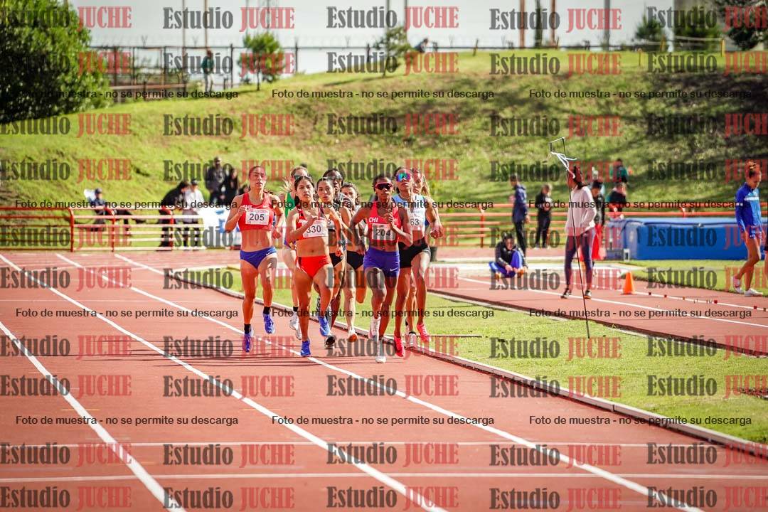 Fotos de los 800 m llanos de mujeres - FINAL