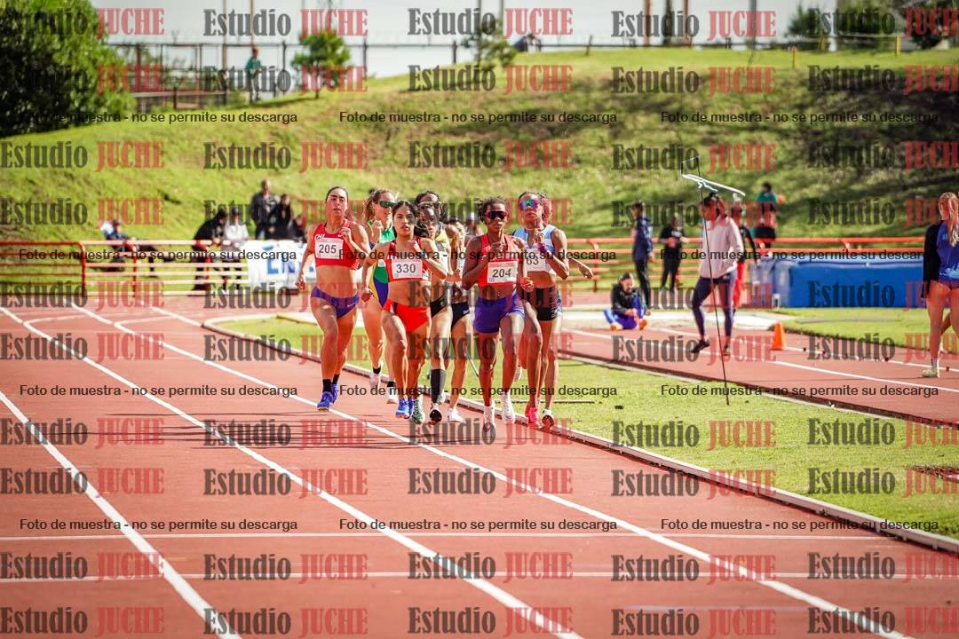 Fotos de los 800 m llanos de mujeres - FINAL