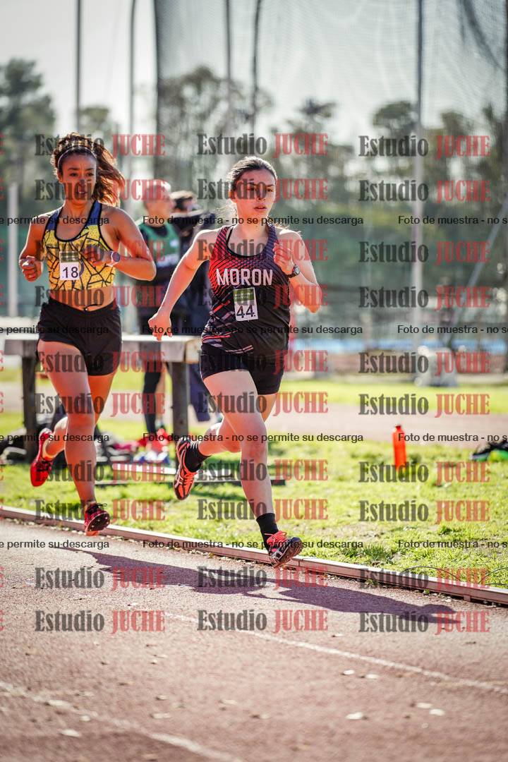 Fotos de los 800 m llanos de mujeres