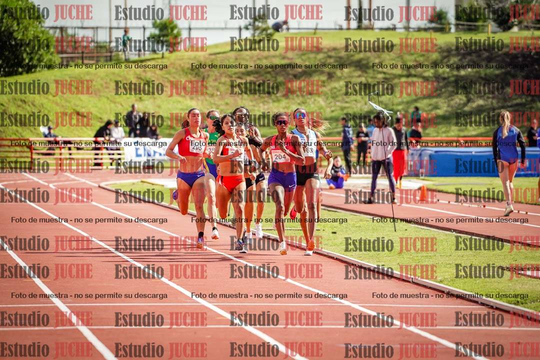 Fotos de los 800 m llanos de mujeres - FINAL