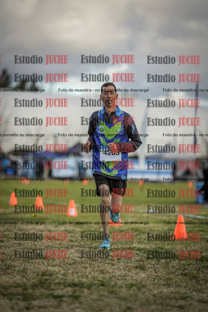 Fotos de las llegadas