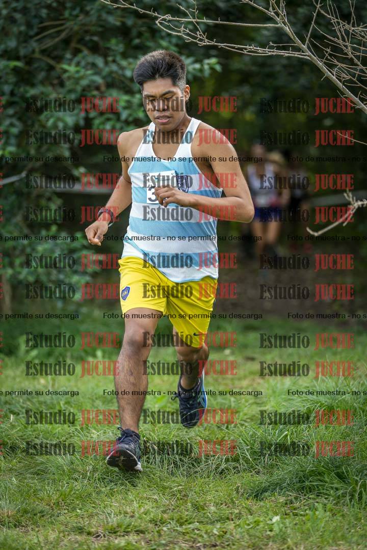 Fotos en el circuito