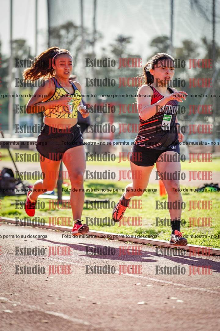 Fotos de los 800 m llanos de mujeres