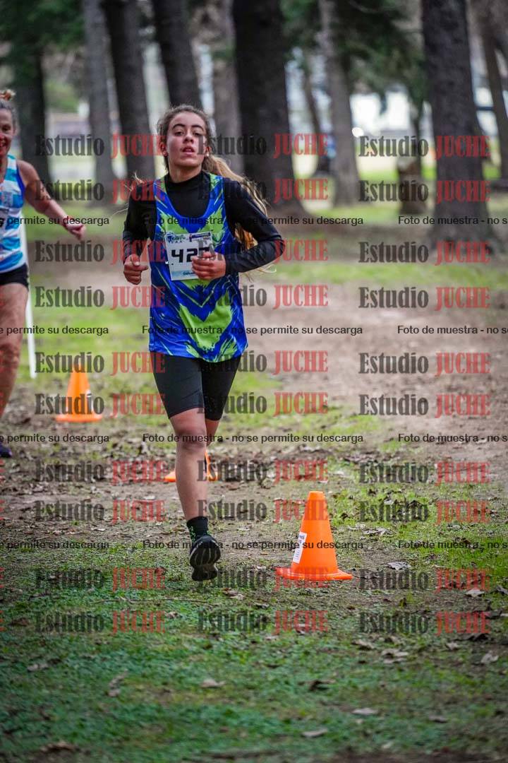 Fotos en el circuito
