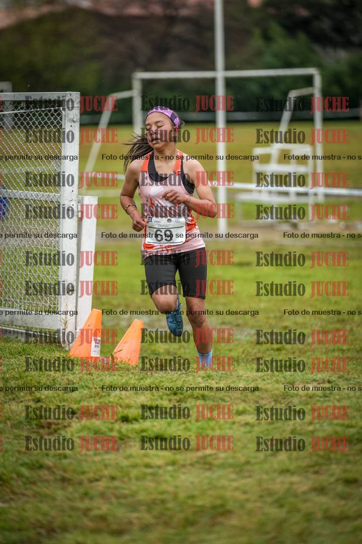Fotos en el circuito