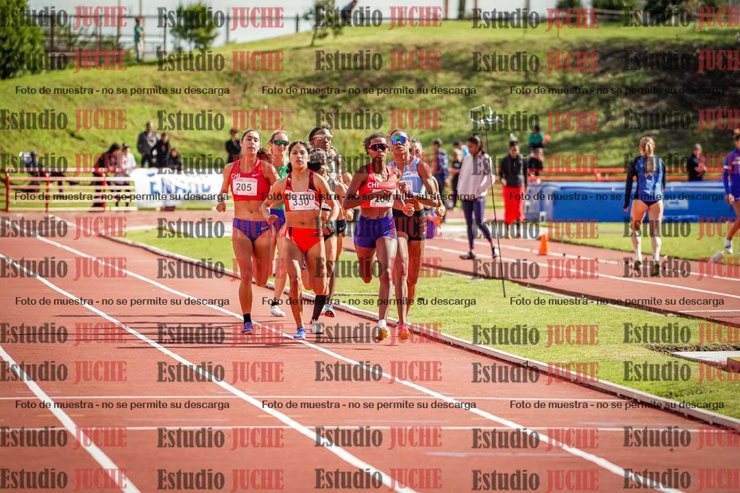 Fotos de los 800 m llanos de mujeres - FINAL