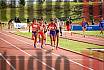 Fotos de los 800 m llanos de mujeres - FINAL