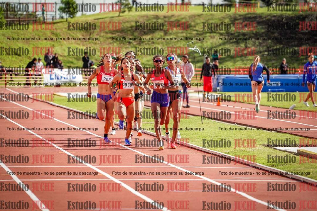 Fotos de los 800 m llanos de mujeres - FINAL
