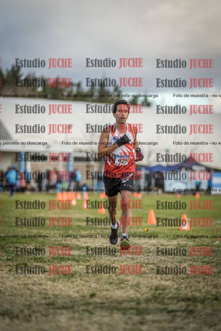 Fotos de las llegadas