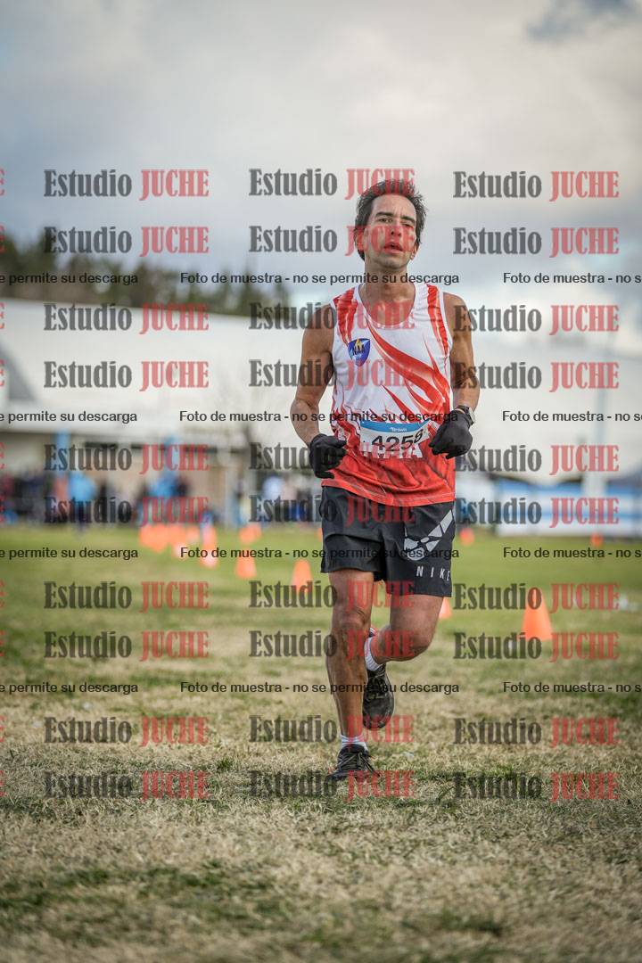 Fotos de las llegadas