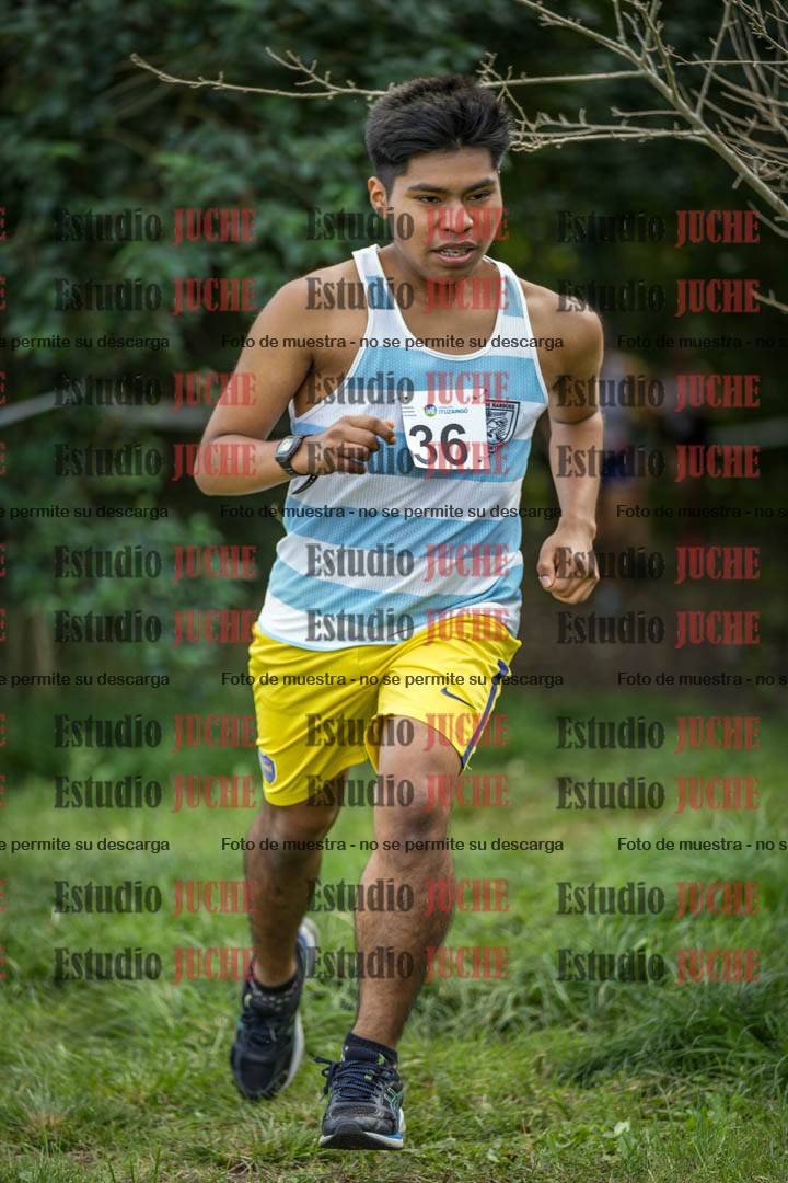 Fotos en el circuito