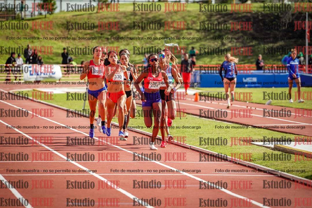 Fotos de los 800 m llanos de mujeres - FINAL