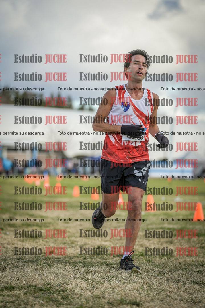 Fotos de las llegadas