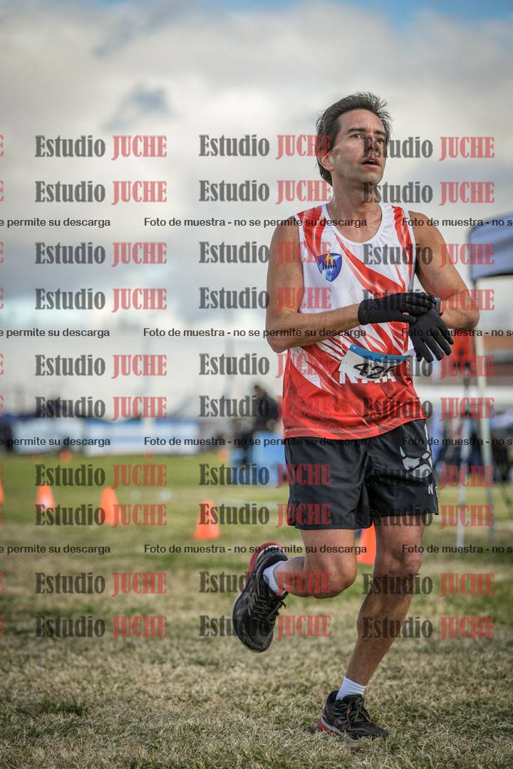 Fotos de las llegadas