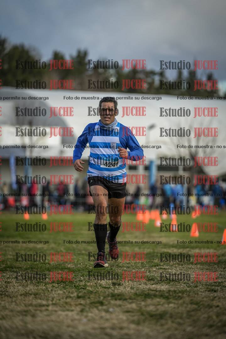Fotos de las llegadas