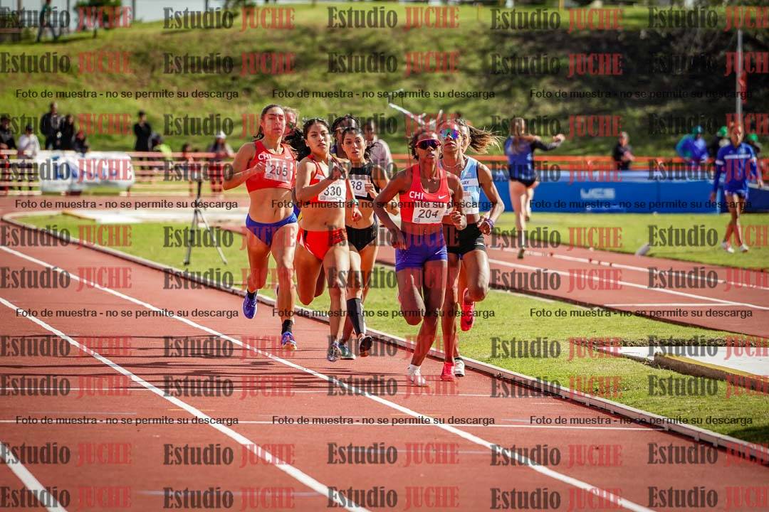 Fotos de los 800 m llanos de mujeres - FINAL