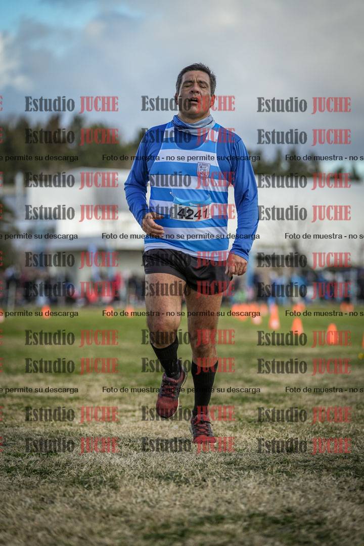 Fotos de las llegadas