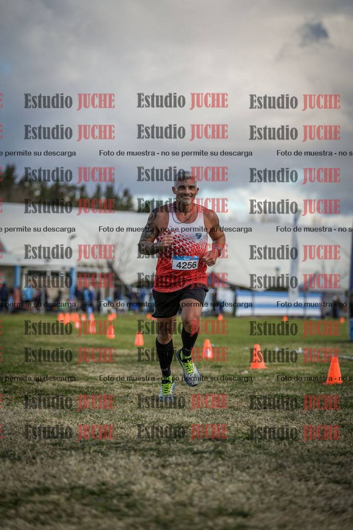 Fotos de las llegadas