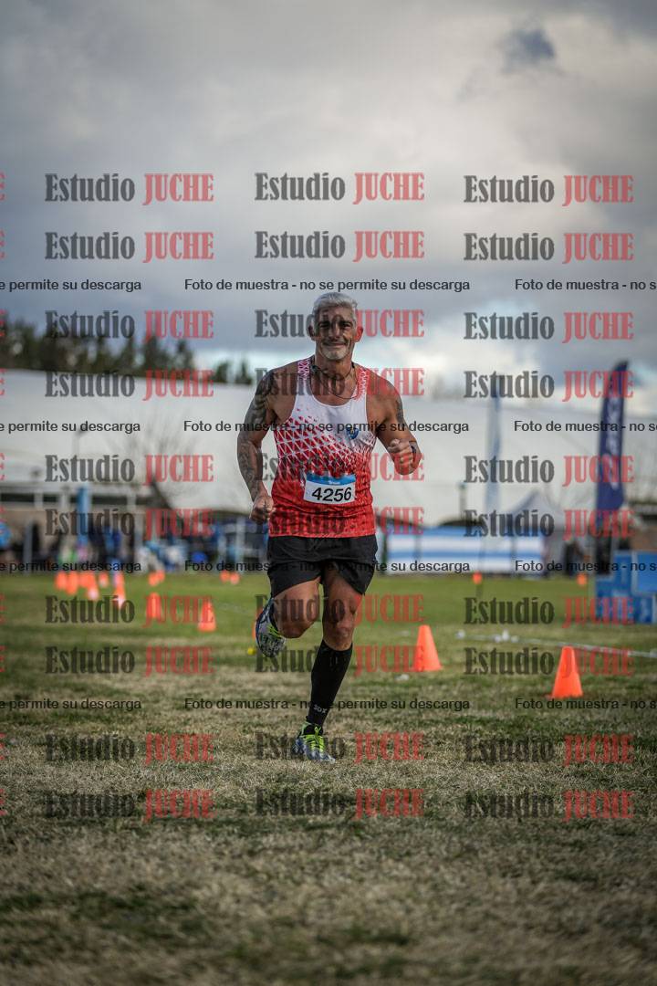 Fotos de las llegadas