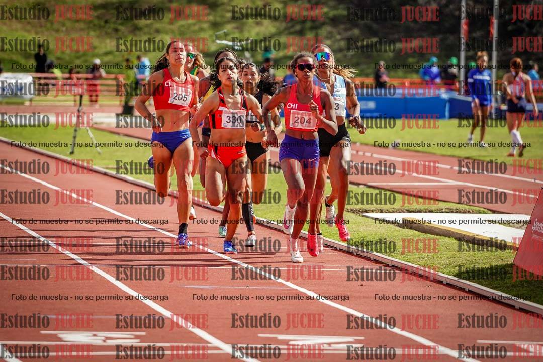 Fotos de los 800 m llanos de mujeres - FINAL
