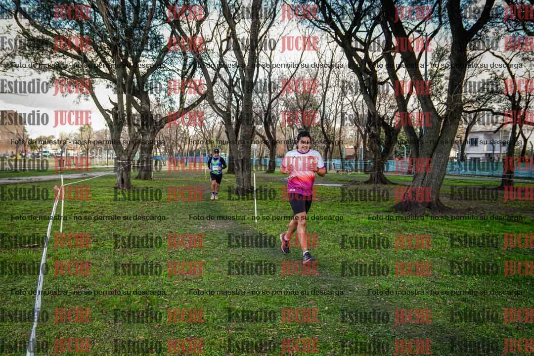 Fotos en el circuito