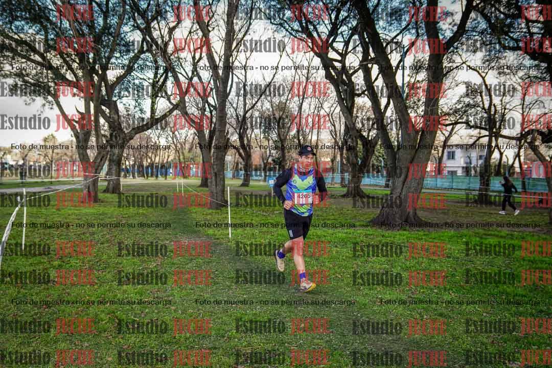 Fotos en el circuito